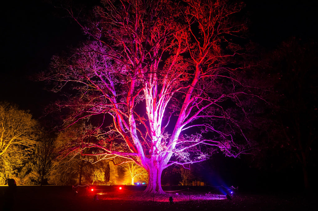 Pearce Hire created magical nature wonderland for the National Trust's Anglesey Abbey