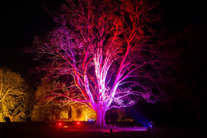 Pearce Hire created magical nature wonderland for the National Trust's Anglesey Abbey